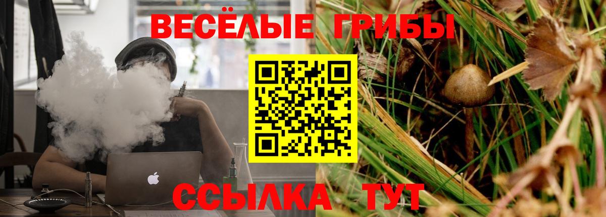 Владикавказ  Галлюциногенные грибы Psilocybine cubensis  как найти   Псилоцибиновые грибы прущие грибы  Вход с VPN 